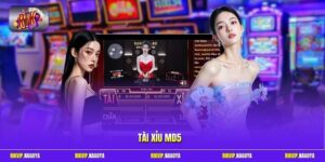 Tài Xỉu MD5 Rikvip - Cách Hoạt Động Và Thể Lệ Chi Tiết 2026